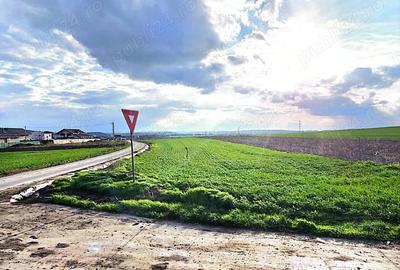 Teren de 4400 mp, în Dancu - 1