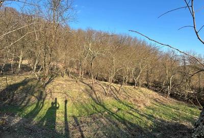 Spațiu comercial, în Cărbunești - 2