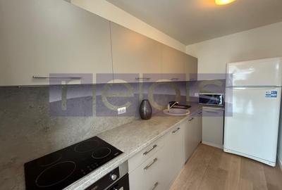 Apartament cu 2 camere, mobilat în Herăstrău - 16