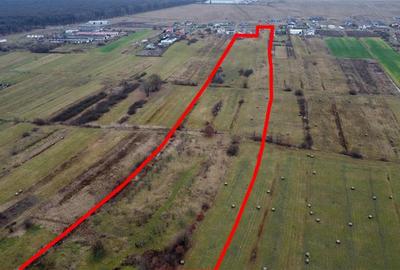 Teren Construcții intravilan de 21700 mp, în Solovăstru - 5