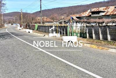 Casă cu 4 camere cu Teren 9528 Mp în Șișcani - 2