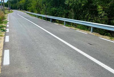 Teren de 10000 mp, în Mihăești - 3