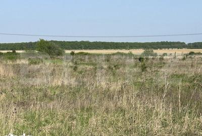 Teren de 500 mp, în Sânmartin - 3
