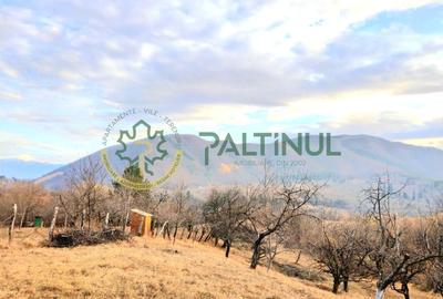 Teren 1960  mp Sibiu,  Cetatea Cisnadioara - 1