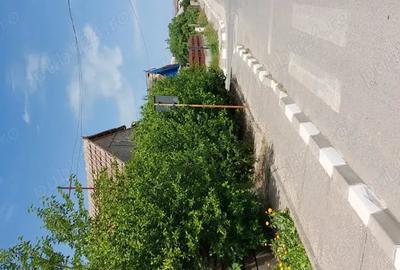 Casă cu 4 camere în Murighiol - 2