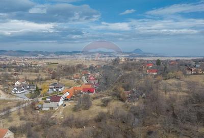 Teren 1,614mp Sohodol / Strada Inv. Ioan Puscariu - 8