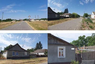 Casă cu 2 camere cu Teren 719 Mp în Beba Veche - 3