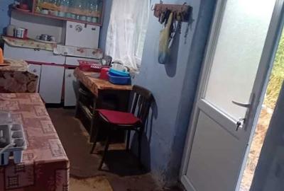 Casă cu 3 camere în Leșile - 6