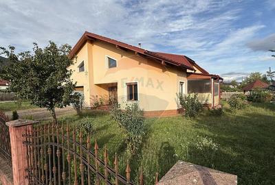 Casa superba strada Victoriei - 2