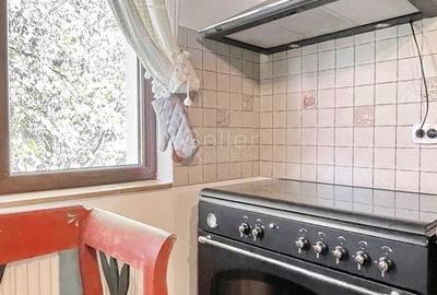 Complex de 3 case pe 18000 mp teren - 8