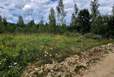 Teren zona Sinca Noua, jud Brasov, comision 0%, plata in 2 rate - 6