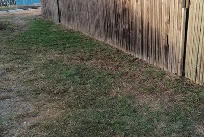 Casă în Central - 5