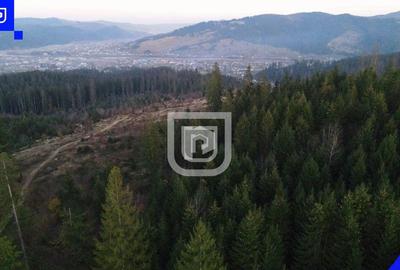 Teren situat in Frasin | BUCOVINA - 7