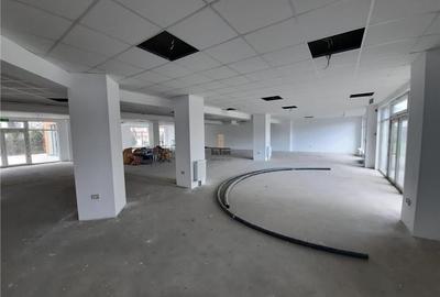 Spatiu Comercial, 255 mp, Cluj-Napoca - 10