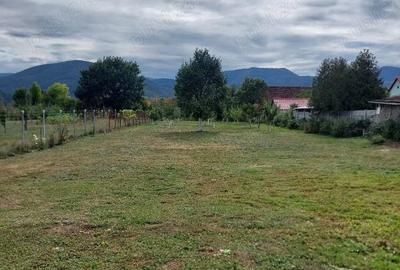 Casă cu Teren 2210 Mp în Săcel - 8