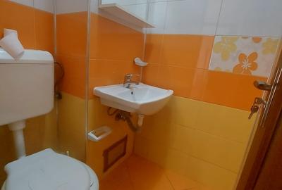 Inchiriere 3 camere Parcul Crangasi vedere Lacul Morii - 10