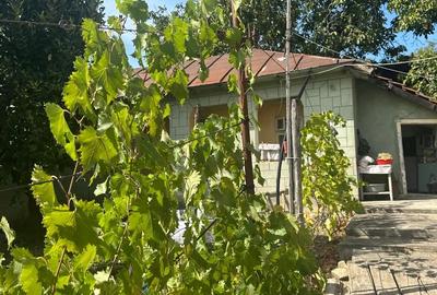 Casă cu 2 camere în Zărnești - 4