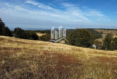 Teren de 1500 mp, în Central - 3