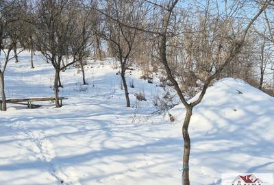 Casa de vanzare in Salistea -800 mp teren - 6