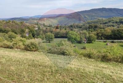 Teren de 3082 mp, în Damiș - 14