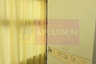Apartament cu 2 camere semidecomandat în Turnătorie - 14