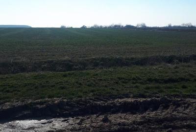 Teren de 22756 mp, în Vânători - 7