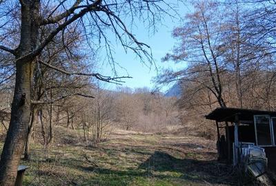 Casă cu 3 camere în Nojag - 3