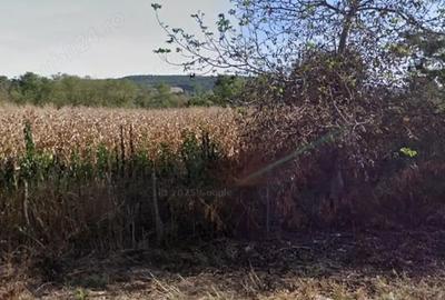 Teren de 4700 mp, în Lugojel - 4