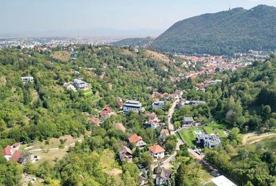 Teren intravilan Brasovul Vechi - 3