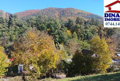 3600 mp teren intravilan, sat Bistrita, 19 Euro/mp - 5