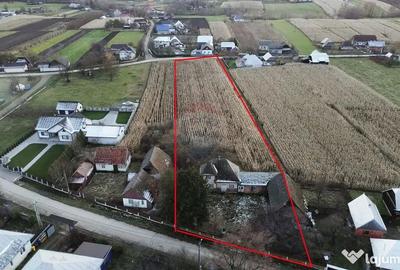 Casă cu 3 camere cu Teren 6100 Mp în Frătăuții Noi - 16