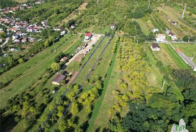 Teren intravilan  de vanzare/ Maneciu Pamanteni