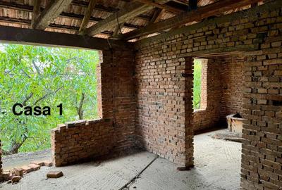 Casa de vanzare la Sebis judet arad - 6