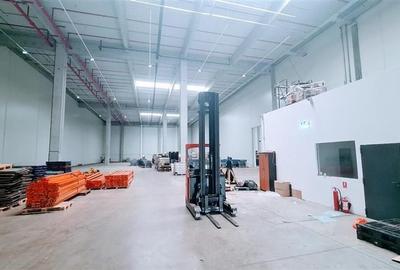 Hala industriala 2400 mp, Calea Lugojului - 6