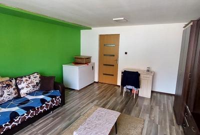 Casa 4 camere suprafata utila 126mp, teren 1600mp, spre vanzare in Seica Mare - 9
