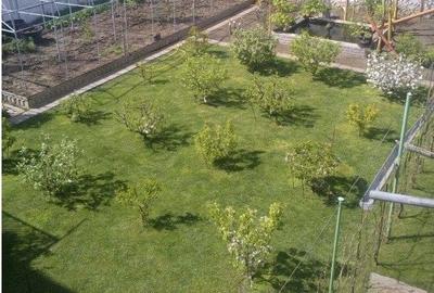 Casă individuală cu 15 camere cu Teren 824 Mp în Brâncoveanu - 9