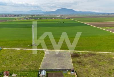 Teren Construcții intravilan de 963 mp, în Hălchiu - 1