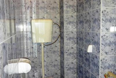 Apartament cu 1 camera in zona Cetatii - 1