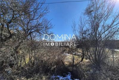 Teren de 6504 mp, în Curtișoara - 1