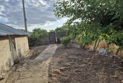 Vand casa ,teren,vie greaca giurgiu - 4