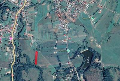 Teren intravilan de vanzare 2.444 mp - Targu Lapu? - 7