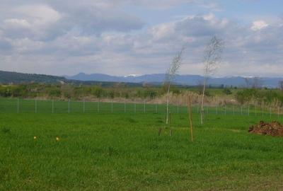 Casă nouă, prima inchiriere, cu vedere la munte! - 14