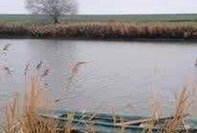 Casă cu 2 camere în Bițina-Pământeni