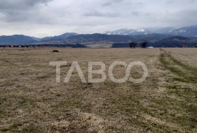 Teren de 15000 mp, în Tălmaciu - 14