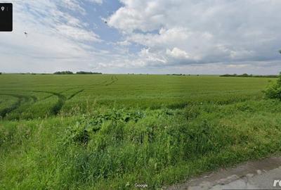 53,3 hectare teren agricol acces direct la DN709C loca?ie buna - 2