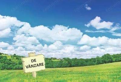 Teren intravilan, dedicat constructie casa, 2600 mp, SIRET - 1