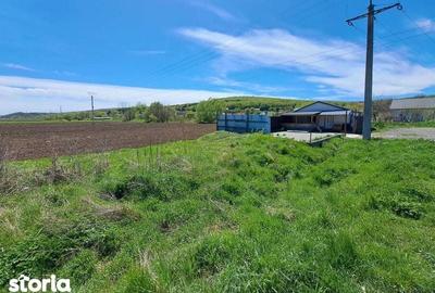 Teren de 2399 mp, în Ceuaș - 3