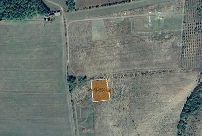 Teren intravilan langa padure - 4