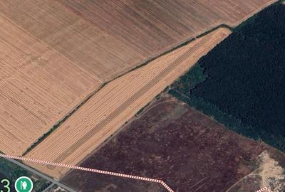 Petrechioaia  Suprafata Compacta 35 000mp(10eur/mp)Teren Extravilan - 2