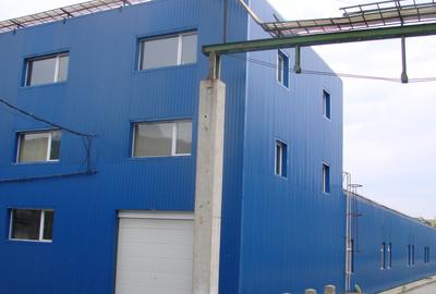 Hala industriala 4850 mp, 2000000 euro - 2